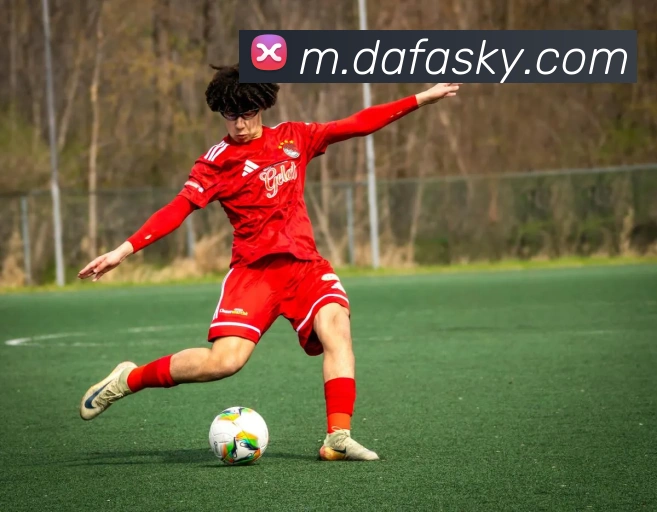 大发官网发展历程